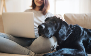 סטודנטית עם כלב (צילום:  Halfpoint, shutterstock)