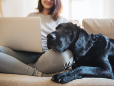 סטודנטית עם כלב
