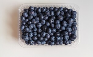 אוכמניות (צילום: shutterstock_Finist4)