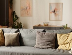 סלון, ספה אפורה (צילום: shutterstock_Pressmaster) סלון, ספה אפורה (צילום: shutterstock_Pressmaster)