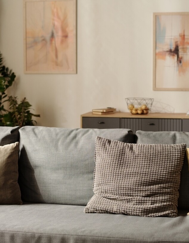 סלון, ספה אפורה