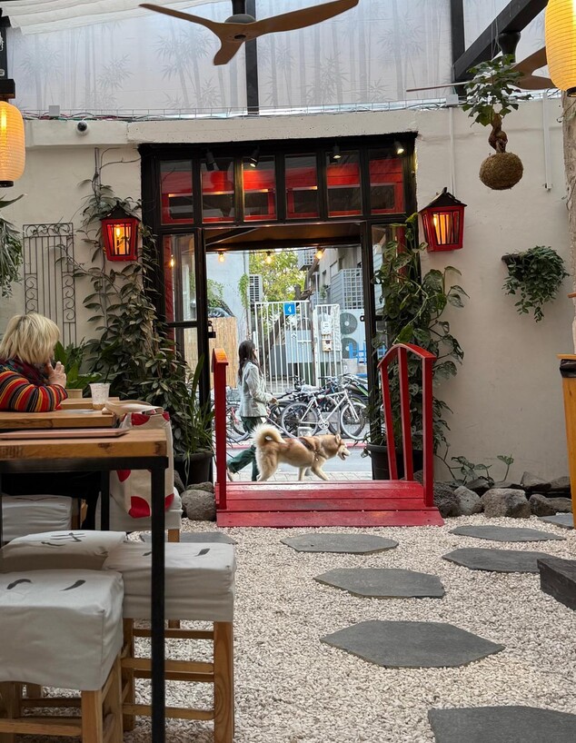 עיצוב פנים של קוקו זן