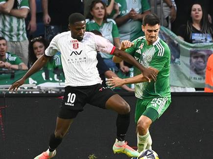 (צילום: ברני ארדוב)