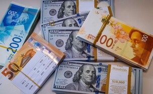 כסף - אילוסטרציה (צילום: נתי שוחט, פלאש 90)