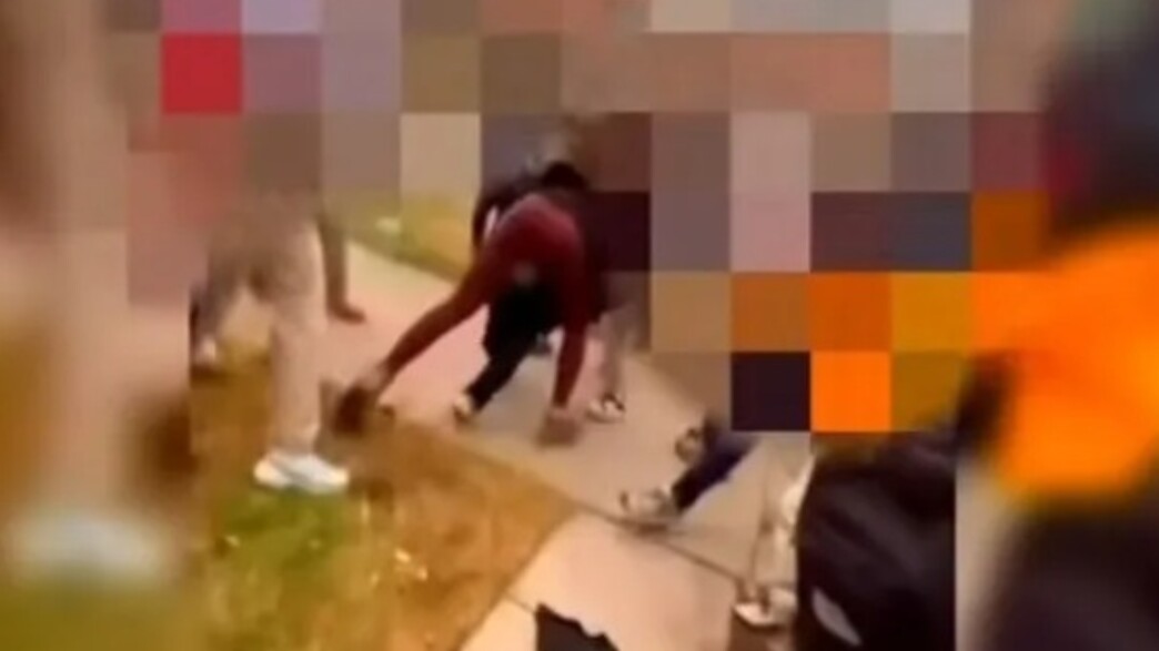 שיקגו הורים