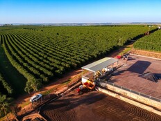 עסק מזון בצפון