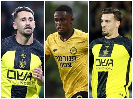 (אלן שיבר, ברני ארדוב)