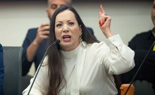 ח"כ טלי גוטליב (צילום: יונתן זינדל, פלאש 90)