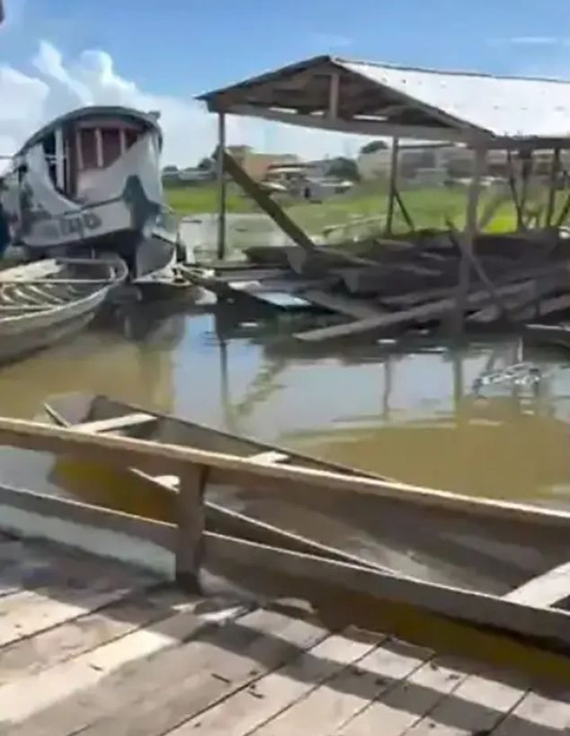 קלרה ברזיל קלרה ברזיל