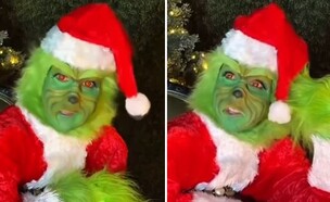 סלין דיון בתפקיד הגרינץ' (צילום: Instagram)