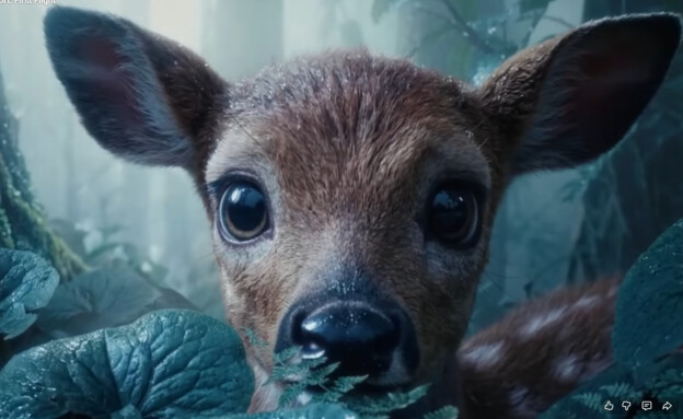 סרטון ארטליסט (צילום: יוטיוב @Artlist)