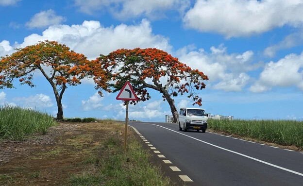נהיגה הפוכה