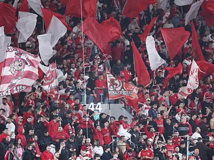 האדומים יכולים לחגוג בדרך לשלב הבא (אלן שיבר)