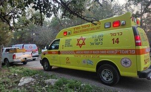 חשד לרצח כפול בצפון (צילום: תיעוד מבצעי מד"א)