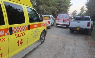 רצח כפול סמוך לח'ואלד (צילום: דוברות מד"א)