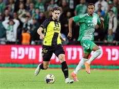 (צילום: אלן שיבר)