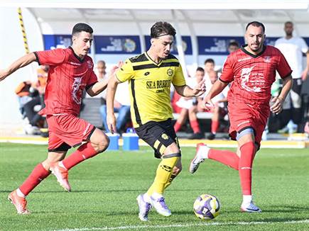 (ברני ארדוב) (צילום: ספורט 5)