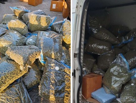 מאות קילוגרמים של קנאביס אותרו ברכבו של תושב ראשון לציון