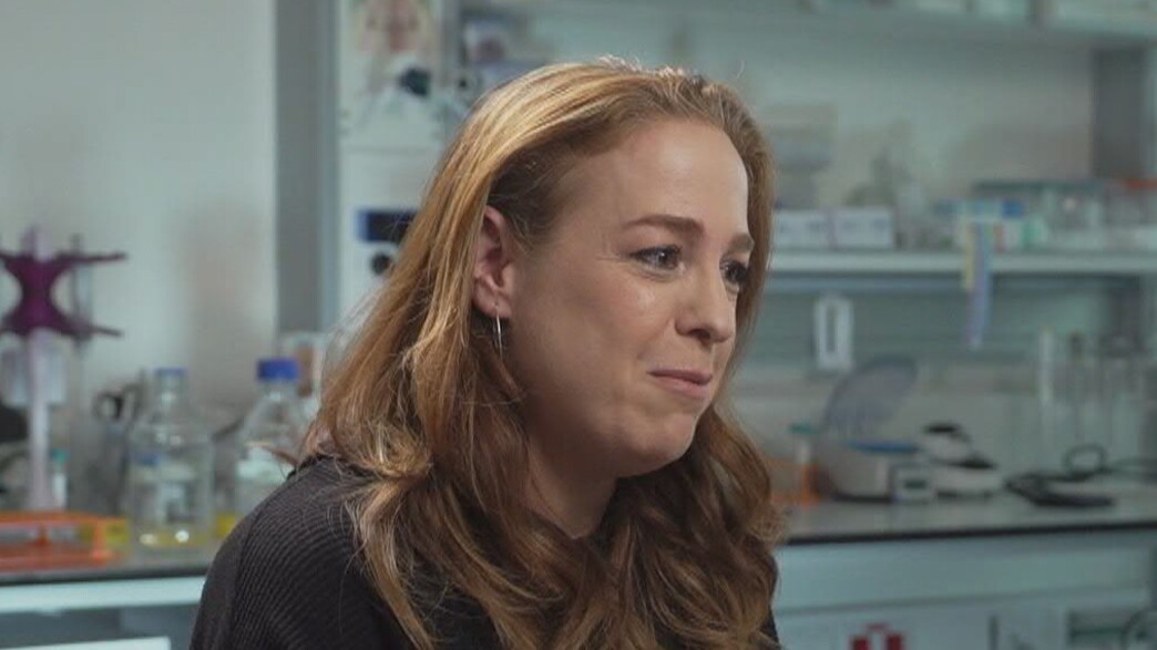 פרופסור יפעת מרבל