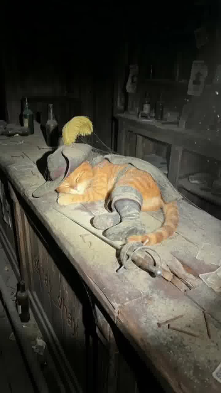 "אנשים התרגשו ובכו": הישראלי שמתפוצץ ברשתות עם מיליוני צפיות בזכות נוסטלגיה לשנות ה-2000