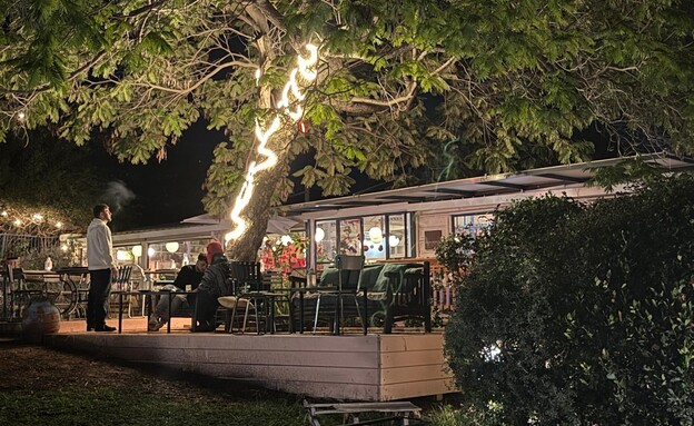 סלואו דיינינג בערב