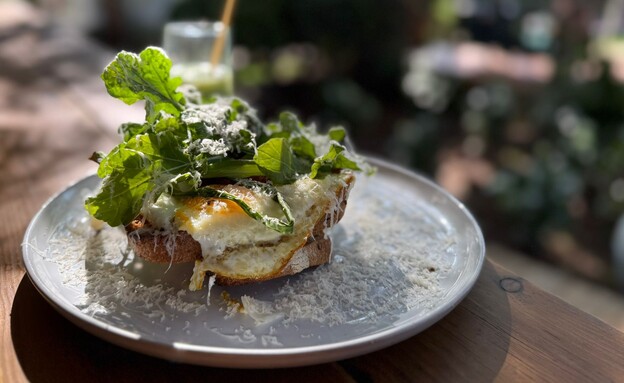 ביצת עין על לחם קלוי. סלואו דיינינג