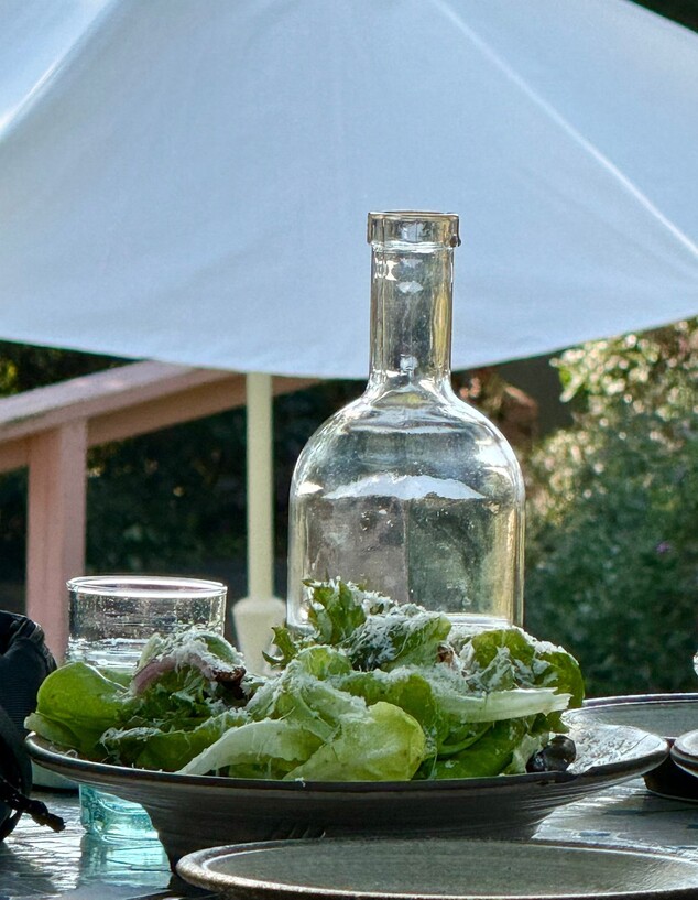 סלט עלים הידרופוניים