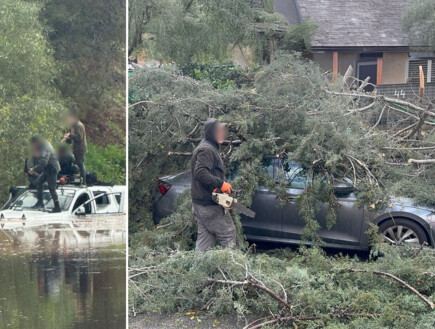 עצים קרסו בכמה מוקדים בגלל הרוחות: "עבר ליד הרכב וניצל"