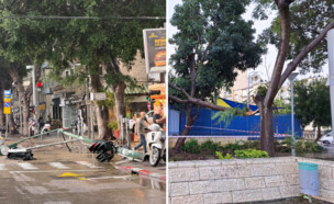 נזקים בשל מזג האוויר (צילום: בילי שלזינגר, עיריית עכו)