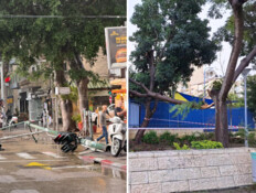 עצים קרסו, כבישים נחסמו: ההצפות והנזקים מהרוחות החזקות