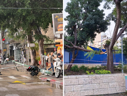 עצים קרסו, כבישים נחסמו: ההצפות והנזקים מהרוחות החזקות