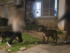 הותקפה באכזריות באמצע הרחוב: "לא משתחררת מהחרדות"