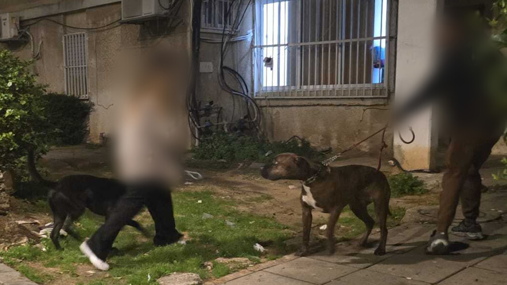 תקפו ונשכו אישה ברחוב