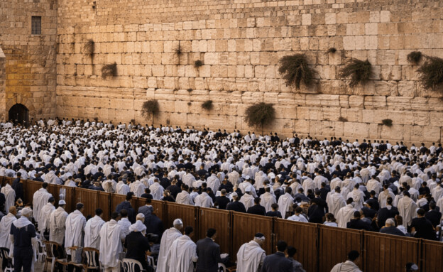 תפילה בכותל בצום עשרה בטבת (הדמיה: mako)