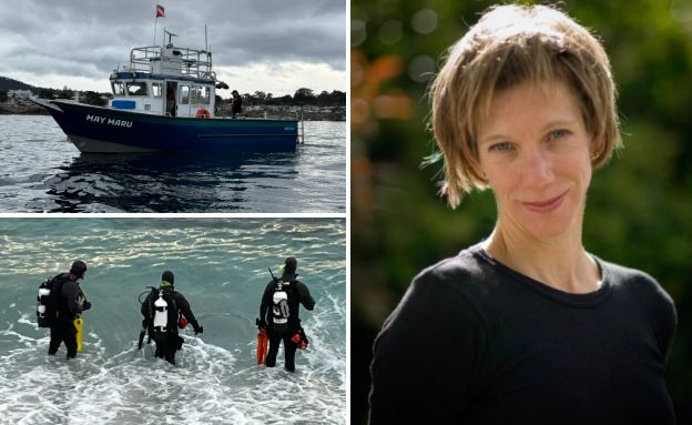 אריקה פוקס (צילום: מתוך הרשתות החברתיות בהתאם לסעיף 27א' בחוק)