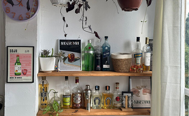 דירה אחינועם רוזנבאום 