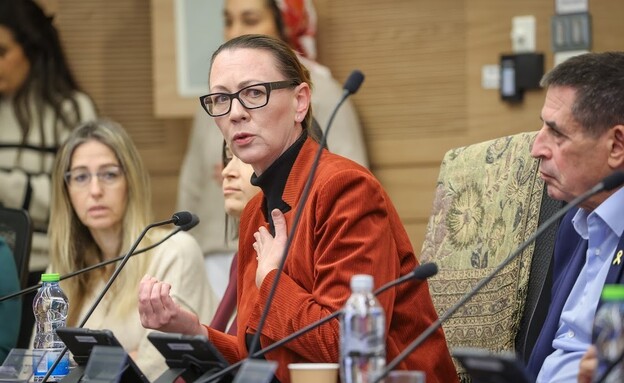 מלינובסקי בדיון על הצעת חוק להעמדה לדין נוח'בות