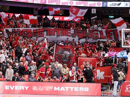 (אלן שיבר) (צילום: ספורט 5)