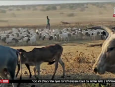 20somalilandshalmor_vtr2_n20251231_v1 (צילום: חדשות)