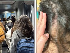 "קמנו עם כינים": הטיסה לארץ בוטלה, החברה מסרבת לפצות