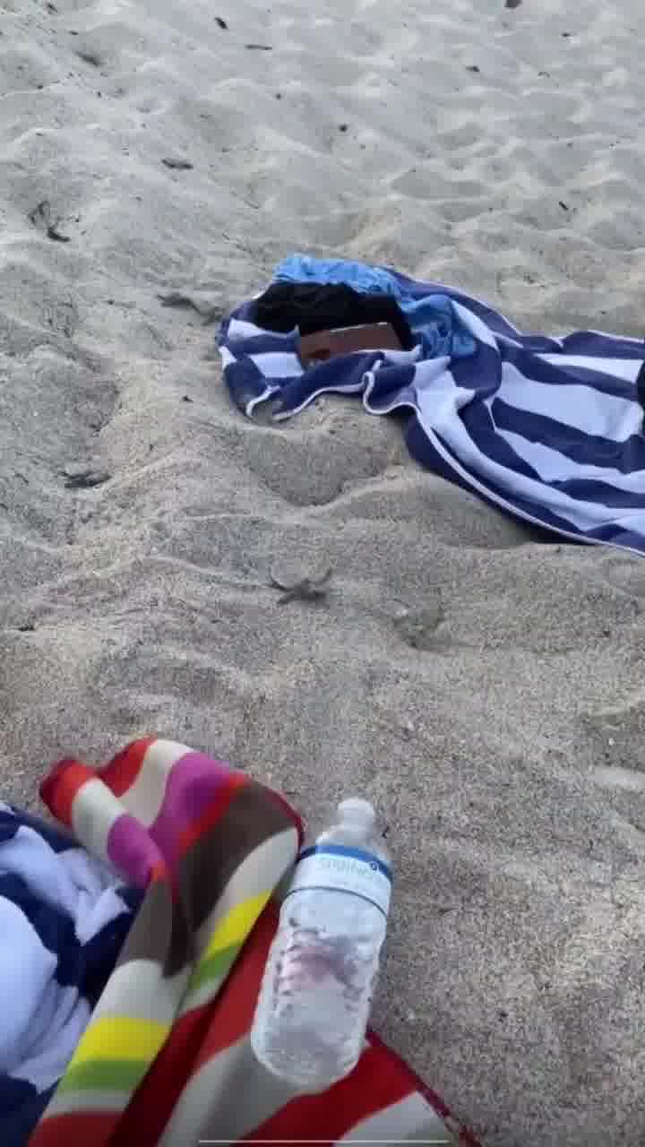 רגע מקסים מפלורידה: צעיר שנשכב על חוף הים זכה לרגע שמעטים זוכים לו אם בכלל