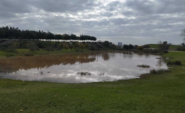 בריכת החורף בפארק אריאל שרון