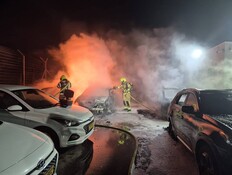 הערכה: אותה חולייה עומדת מאחורי הצתת הרכבים בנגב