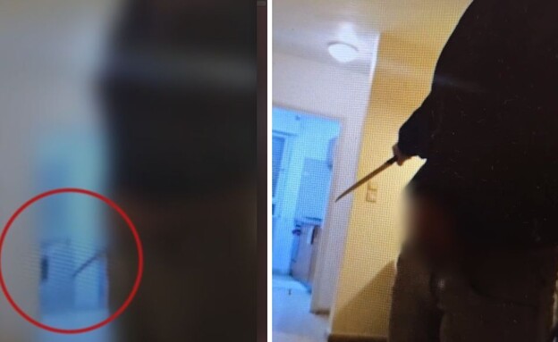 תיעוד: דקרה את בן זוגה (צילום: דוברות המשטרה)