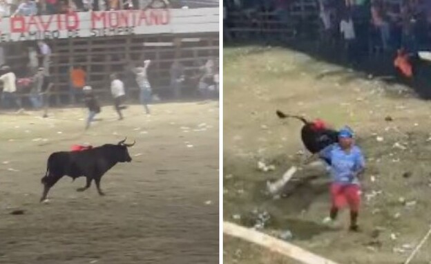 קשה לצפייה: לוחם השוורים ננגח בידי שור - ומת