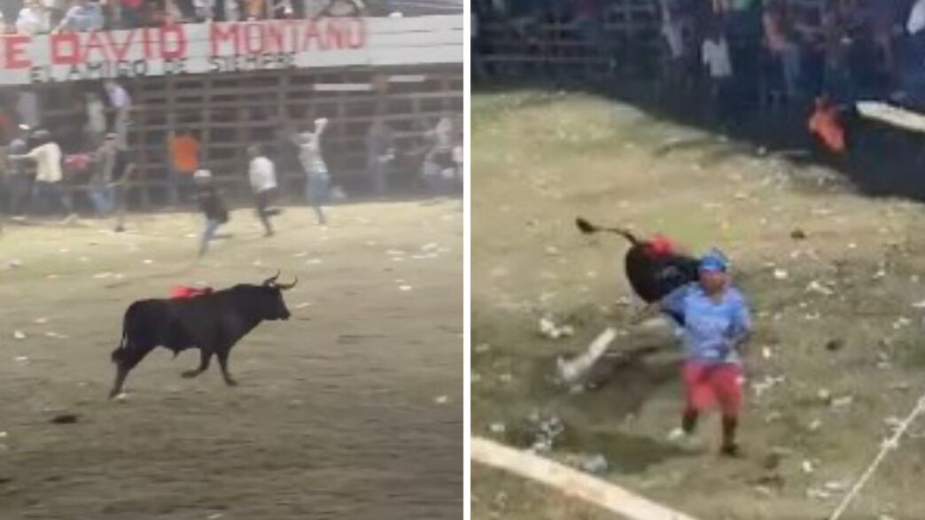 קשה לצפייה: לוחם השוורים ננגח בידי שור - ומת