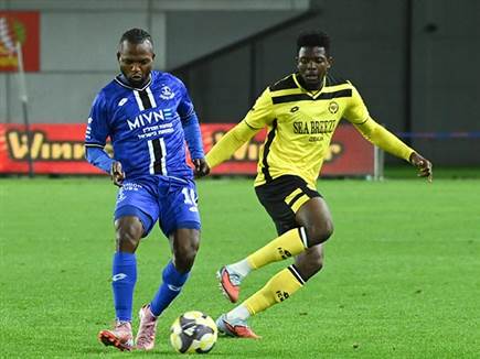 כיכב היום. אדניי (ברני ארדוב)