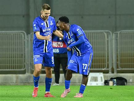 והחגיגה השנייה (ברני ארדוב)