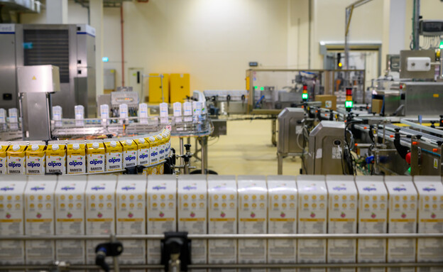 מפעל שטראוס בצפון