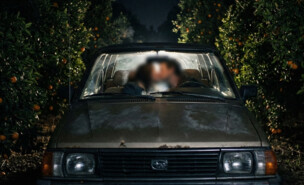 זוג מתנשק ברכב